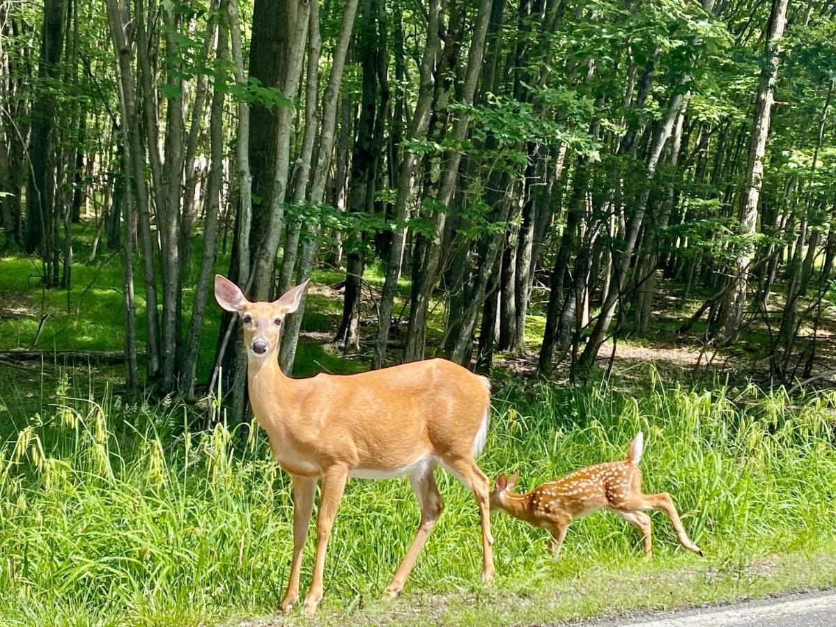 Beautiful Pocono Mountain Home Albrightsville Eksteriør bilde